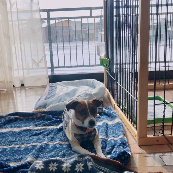 9c153190 60b4 4ffe 9759 f4ad390d7b1f 1583452364842