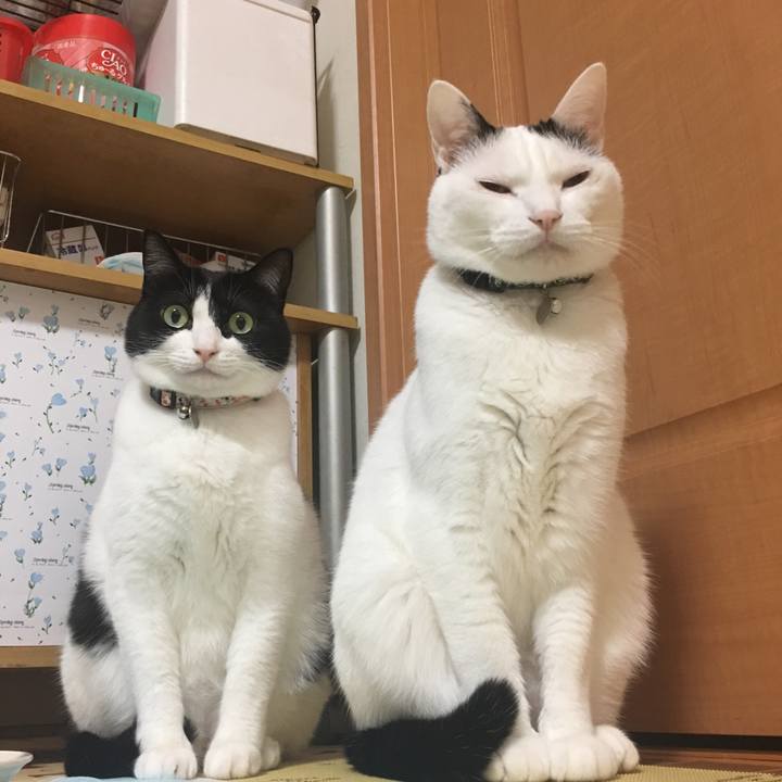 9c154dbe c13e 4e40 a9fe 4280469cbf89 1512356090076