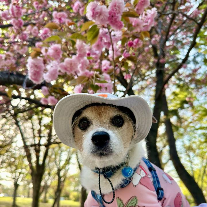 9c15dee0 0b4c 4bea 971c fe31bba5d7fc 1713088827048