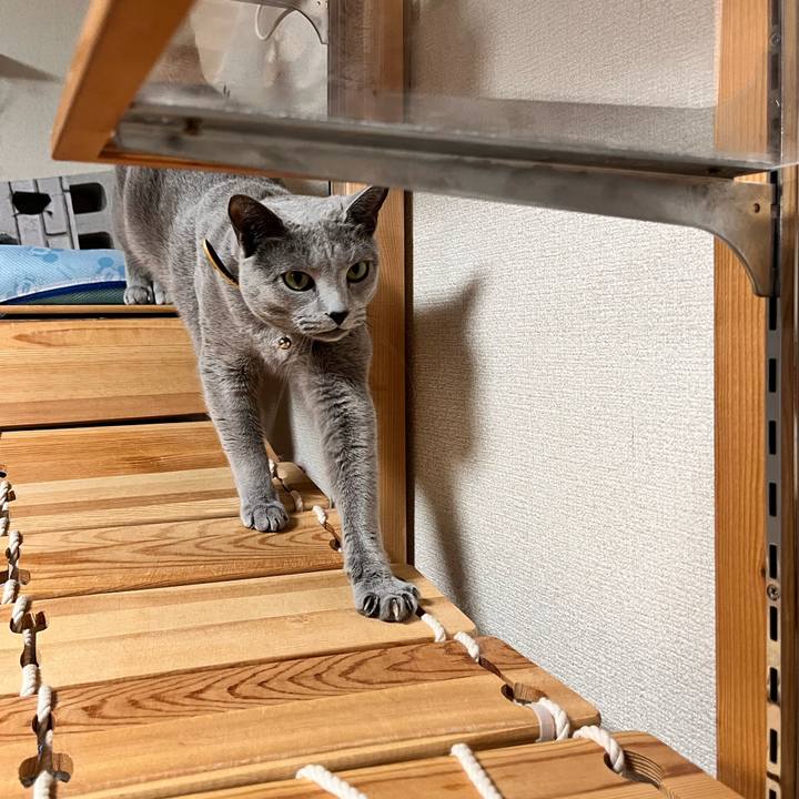 9c165da8 0d9c 4a9b a134 0b24ee9351e7 1668118341577