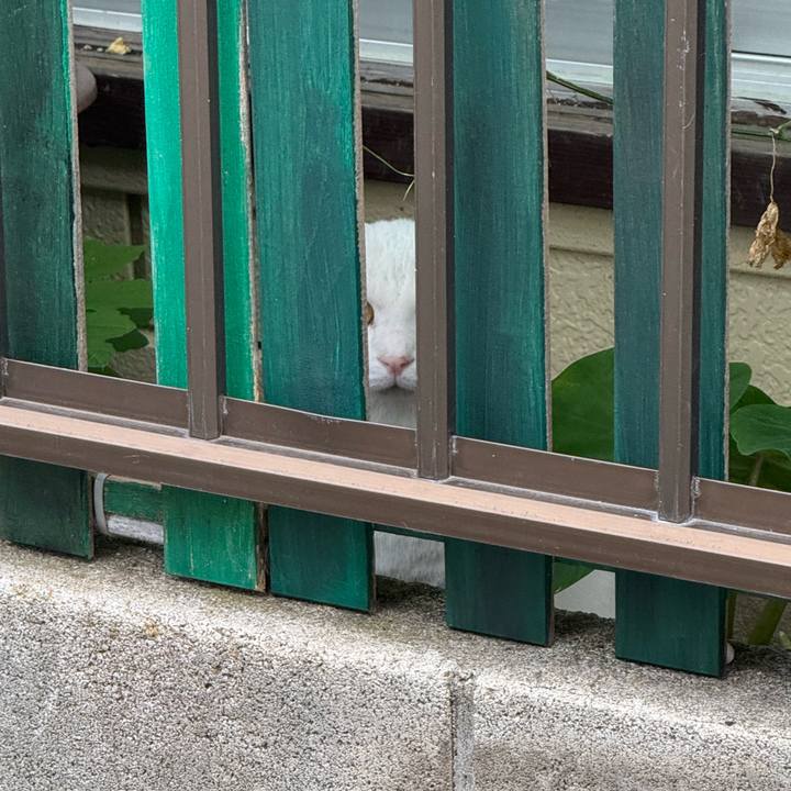 9c1666cb be63 4c6b b82d 87f007d21c63 1759976512893