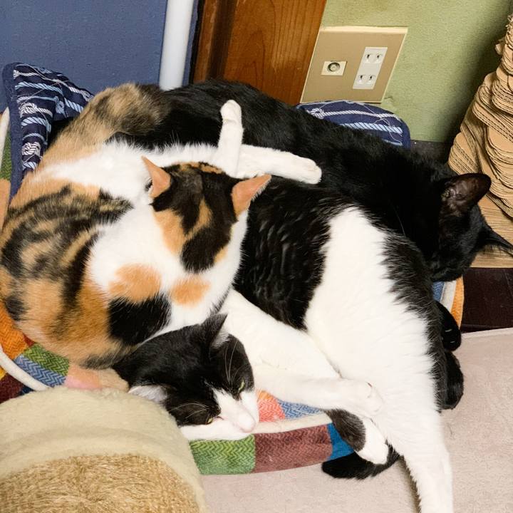 9c166d49 24f3 4c9b 9109 d1aa97f04b38 1573782509230