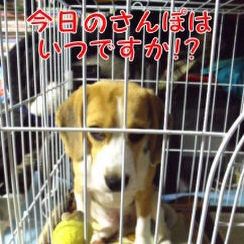 9c1682bd 8d86 4ee1 8382 ebf742f80218 1683765112135