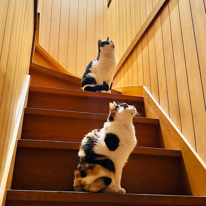 9c16dc94 ab1e 4d66 b211 8e916bd17c86 1685581275013