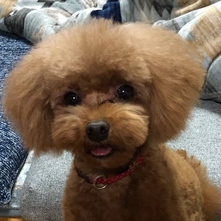 9c16f254 5221 4935 93b8 6859a1af3964 1611378887675