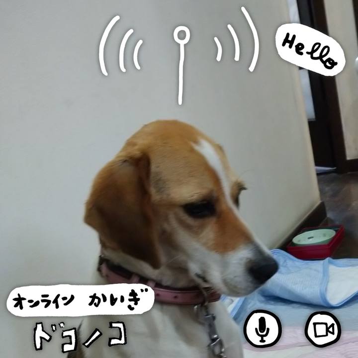 9c171226 516a 4ad3 a80f 5102641ca4d6 1593504912100