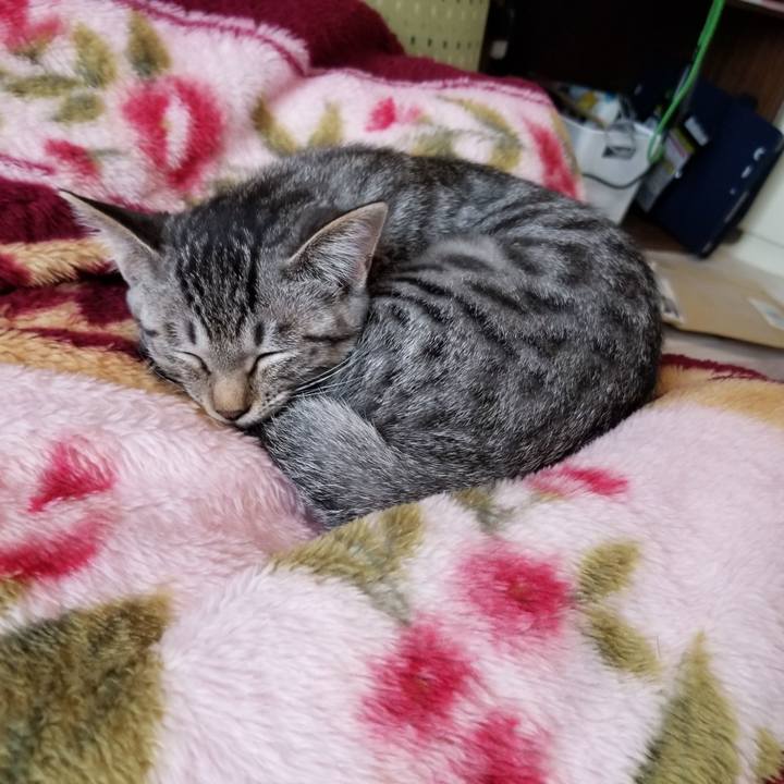 9c17482a 6f50 4d93 994f daaf84b7ec65 1666010355820