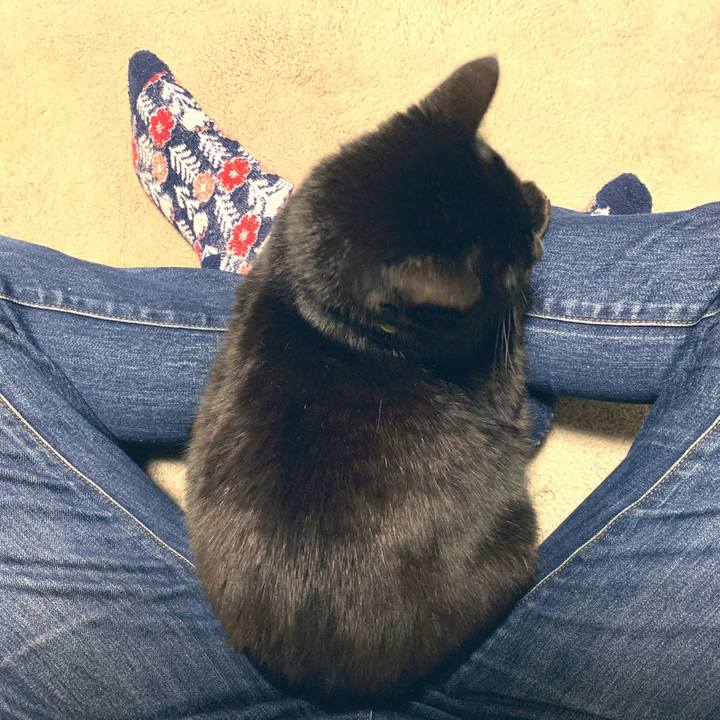 9c174fda b8ab 4d94 ac5f 24f34b7bfa96 1547557214805