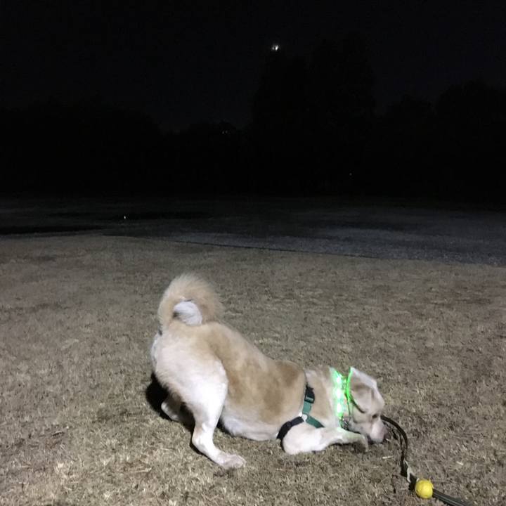 9c17a472 ae20 4f39 8e9f 56b56bb9fecb 1516443487566