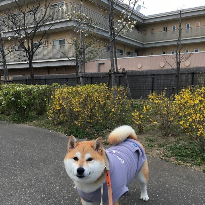 9c17aa3e f24e 40e6 bf56 3ad71f0447cb 1553503618786