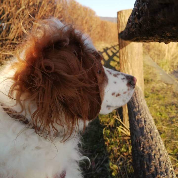 9c17d7d1 8281 4c7b 88bf 41f2d14b2d2c 1580818089047