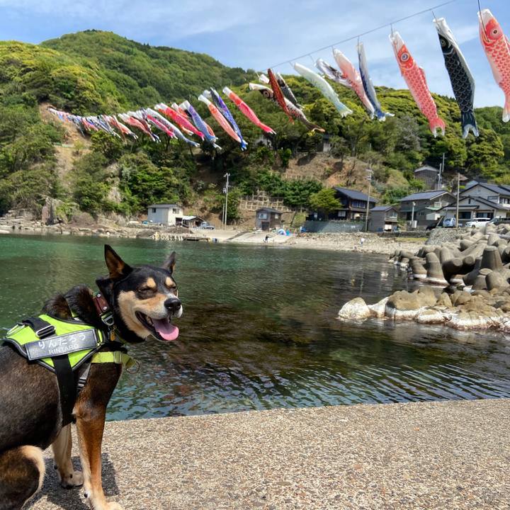 9c17e1bf 85b8 4103 a49e 0447e33801da 1683292931047