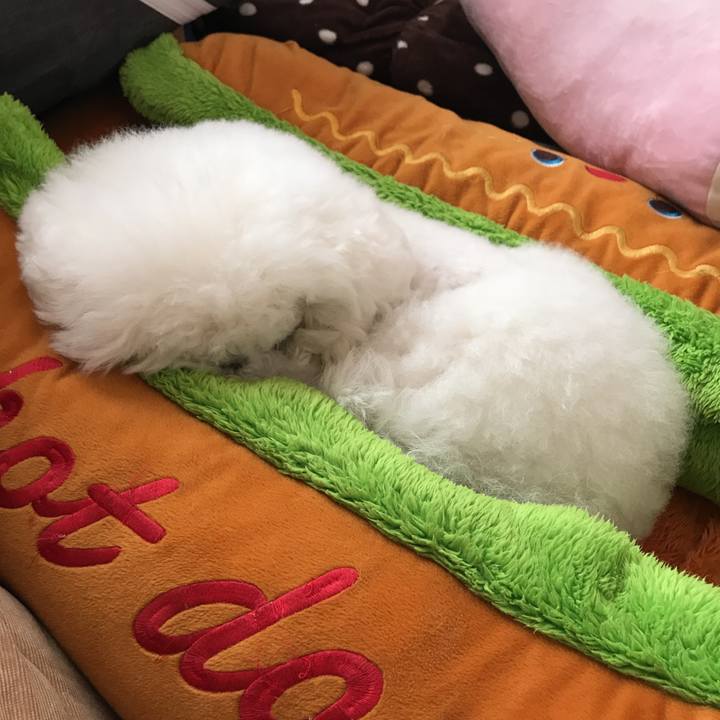 9c1809fa 8a2f 41dc be73 c415fb200125 1552960755668