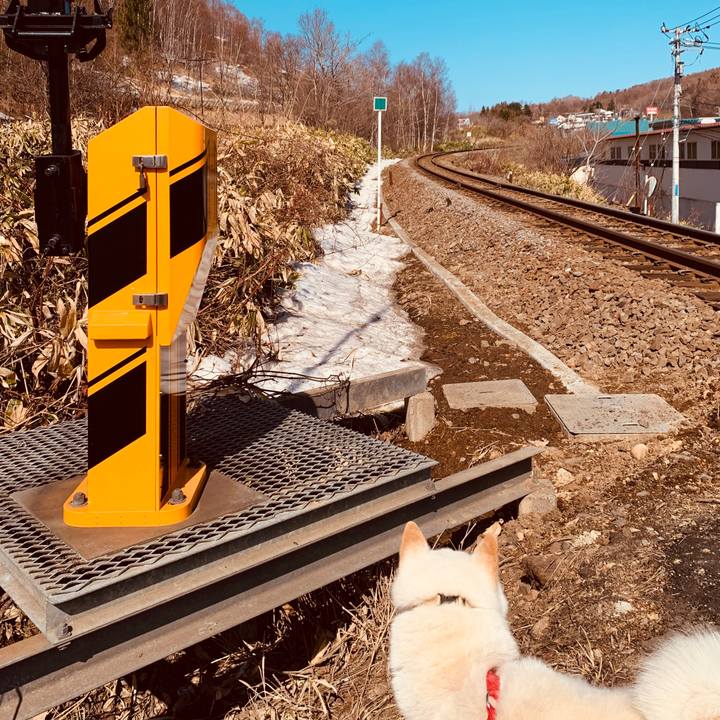 9c180ac2 1a06 4224 bdba 2806bd62418b 1585620248398