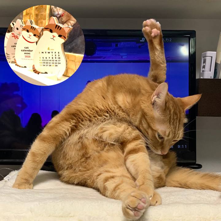 9c181909 2ee3 4c38 a285 b892af74d516 1617227557461