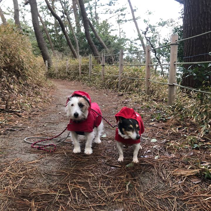 9c182ad8 ea10 4e59 8b72 18d1c6bb0df2 1581377889471