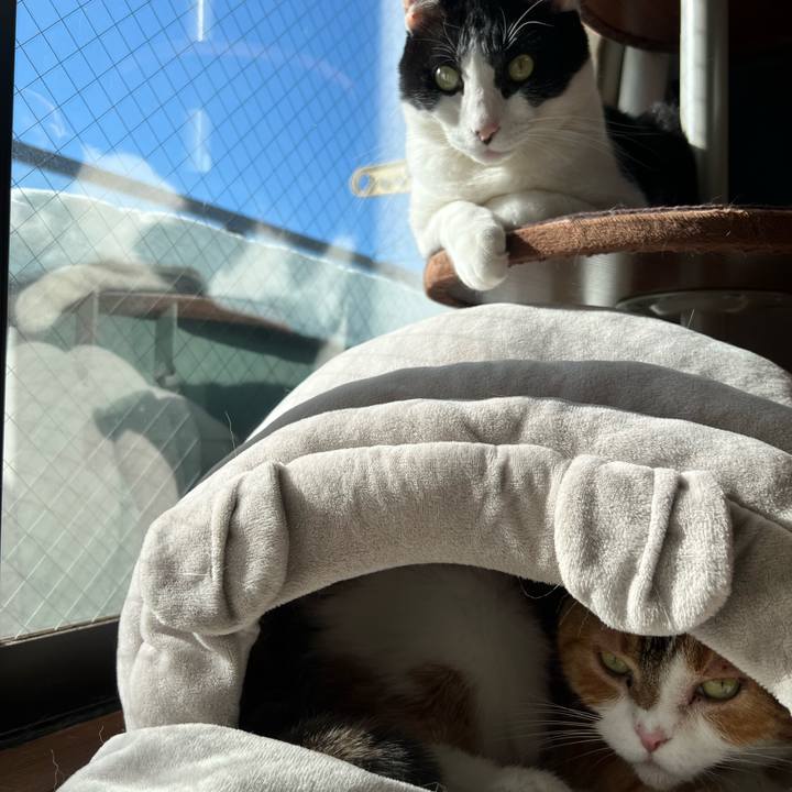 9c182ff5 af11 47d7 9c5f cce429caeef9 1734140339037