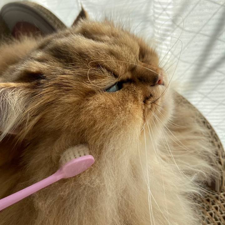 9c184459 be46 49b0 b5a3 ebd9d0296bb1 1608166796918