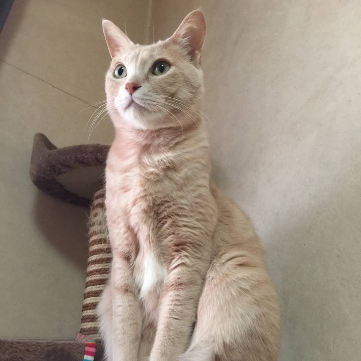 9c185383 cc2f 41b8 a146 340150a3dace 1515796055129