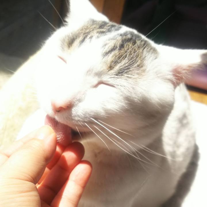 9c1888f8 9c48 4cbd 8fb0 b8828d192bbd 1559438033042