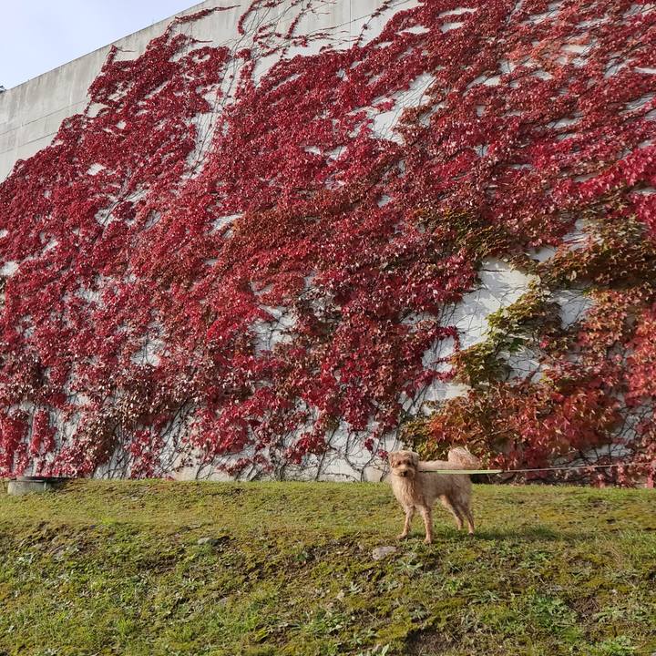 9c188f20 a3f3 4f7b 9450 8c85a91e4800 1602286552245