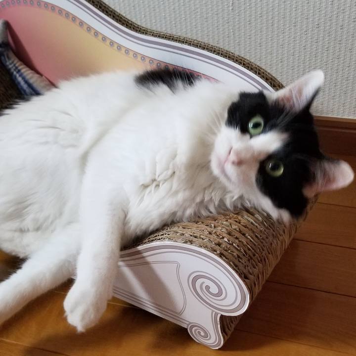 9c189206 6a15 4bd6 8189 8da59b10ec75 1591078663480