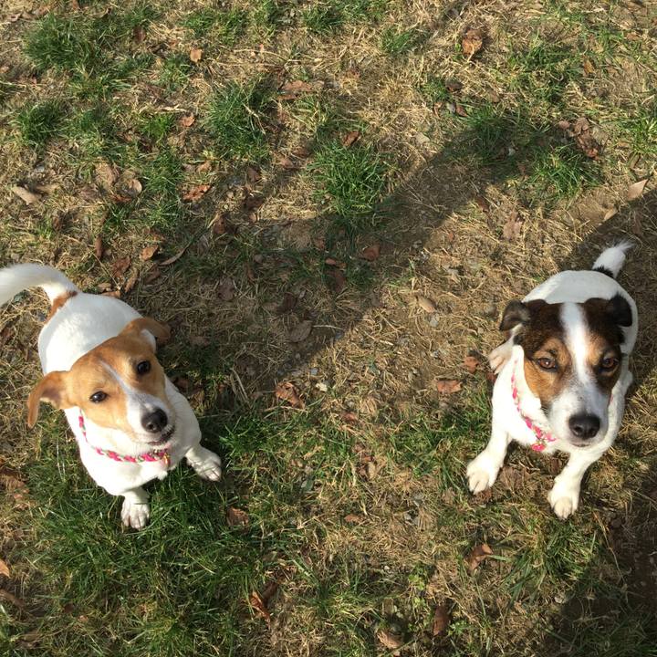 9c18f2df 341e 43b1 8fef 24ccfc19def2 1512203071605