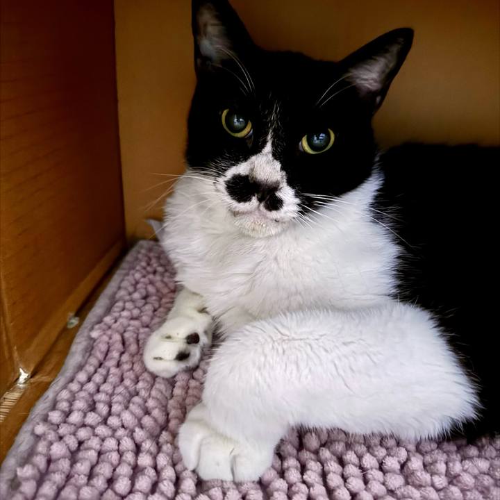 9c1903d8 6656 4a06 9e87 70f28b20d346 1726013813568