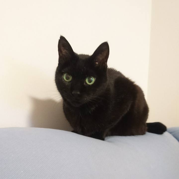 9c190abb 51cf 41f3 9aa9 f9aae3e43289 1521026258964