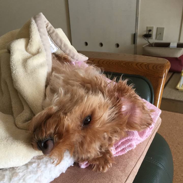 9c191024 0325 4bfd bb2a 0a88e06eedbb 1521249746921