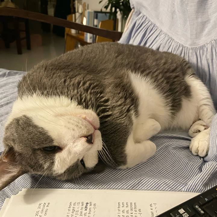 9c193419 1a78 415a 87a1 5fe67594f45a 1755964109738