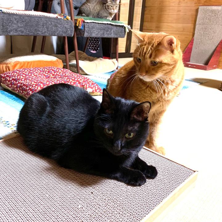 9c193592 aeaf 45ca 91c5 096363a59b68 1589884895053