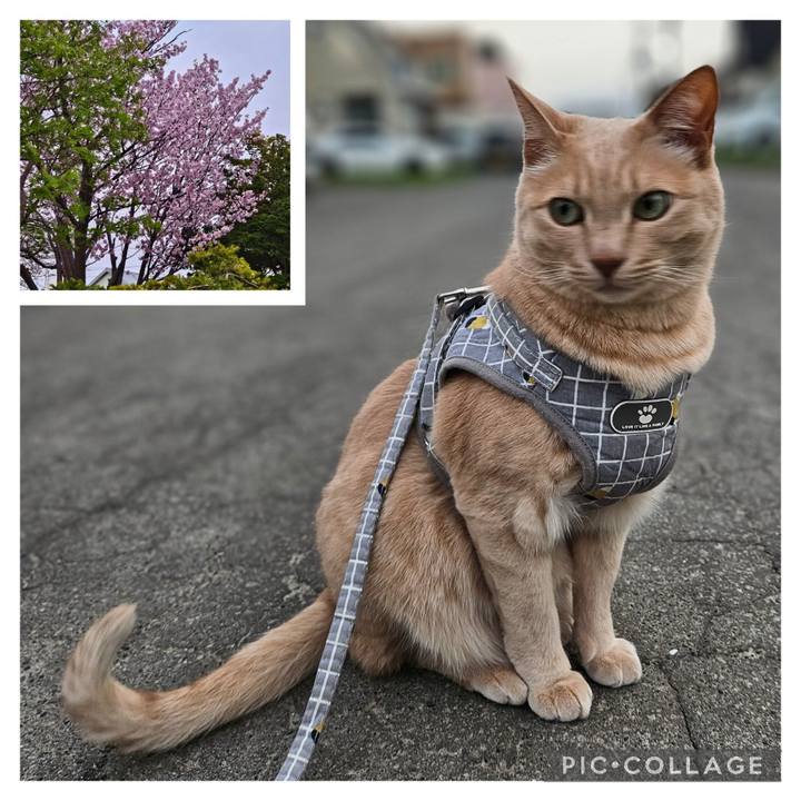 9c193929 5b9f 4ef2 9429 fa5fd01ebc88 1714211146486