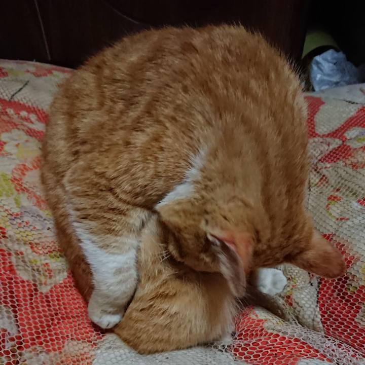 9c19419d dd74 4168 9773 976fdf8a44c9 1554210477932