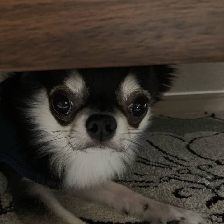 9c1954c6 3704 43d9 99db 31406e320366 1620221867114