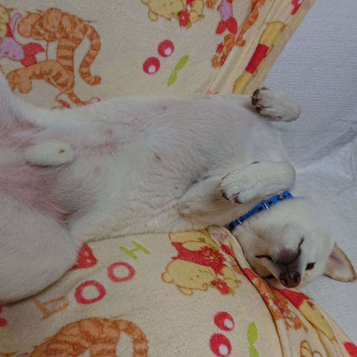 9c1976e8 c121 4a05 ac76 6b6d3bc68f48 1573739255989