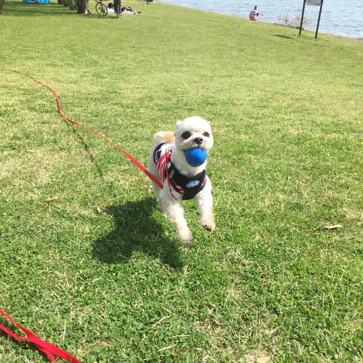 9c198954 87c8 4e38 bdd0 d89204f3eb6b 1522570263211