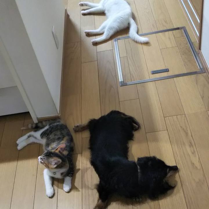 9c19b0e0 dde0 42eb 832f 3cc917440bf4 1628288567586