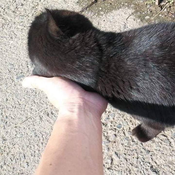 9c19dd6f 4fdc 4088 8b2f 68c47eb58630 1633398379156