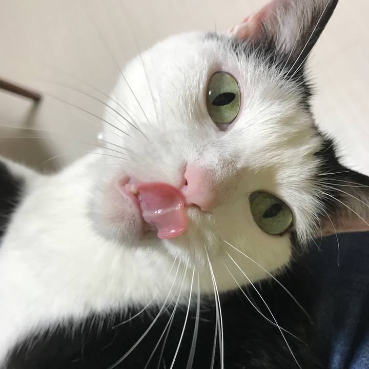 9c19f14e c65e 40c7 a9ad 6fe94ee83476 1525086211088