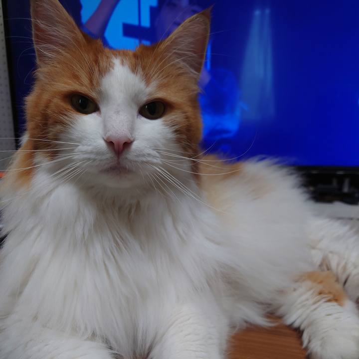 9c1a0869 b480 43c3 94eb 0fc3c9120c4d 1628466644760