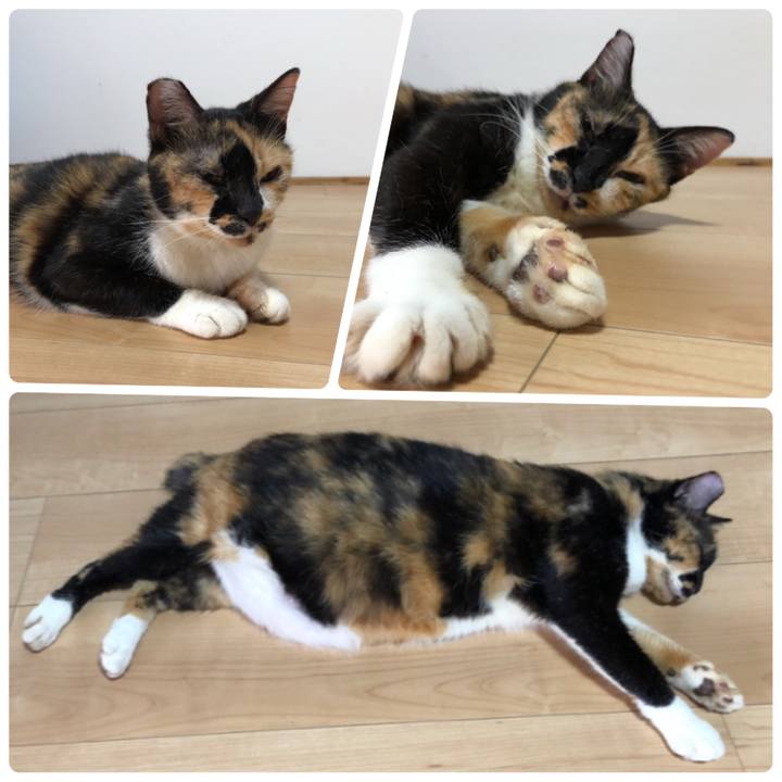 9c1a1ccd ba26 4ebf a941 ec8e18a1d1bc 1629768838843