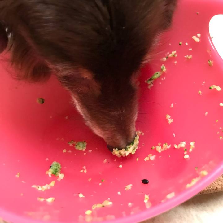 9c1a57ac d68b 4836 9866 4c010fef3559 1550496964721