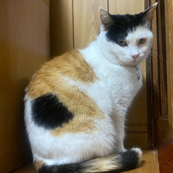 9c1a6135 25b9 431c b851 f780fbe2771e 1644850674195