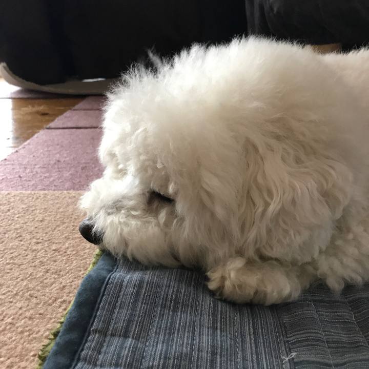 9c1aca4f 1813 47c3 858b 087f60610e7c 1528527874176