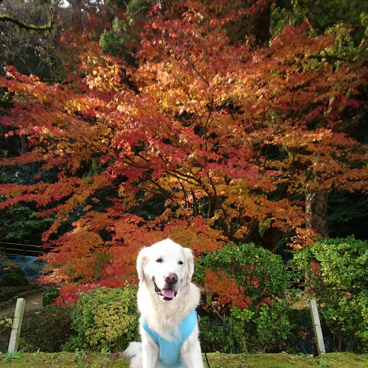 9c1b02cd ee22 4ed6 98f3 9cf31e3868fa 1543720574159