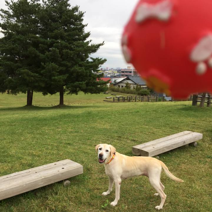 9c1b1e08 e623 46d6 b587 ea2488340ffd 1508027816431