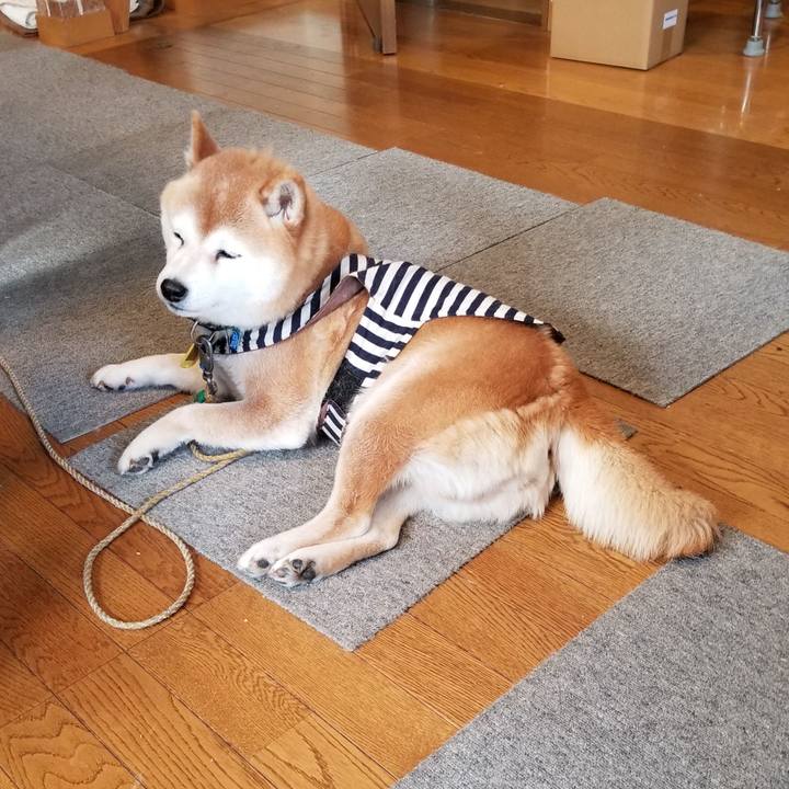 9c1b2fee b682 4190 b857 1875333ee137 1643510858258