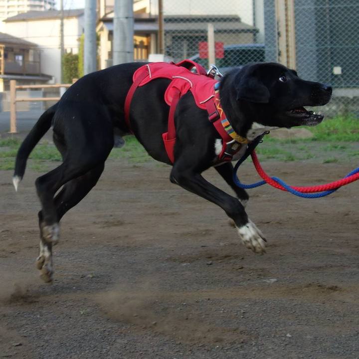 9c1b3415 bc15 4b59 9868 f5318644592d 1592390091511