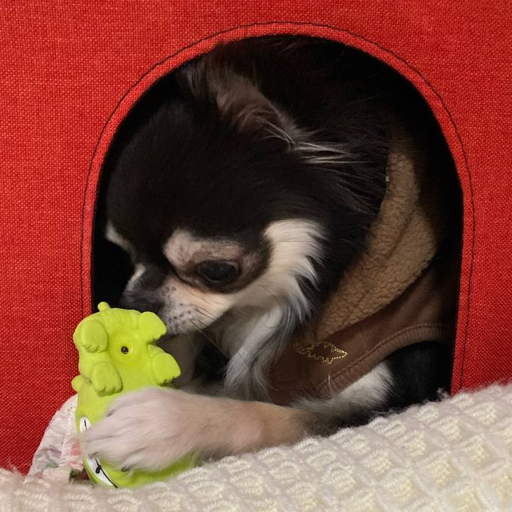 9c1b3810 854f 4419 9d38 96803f9c01ab 1700994563745